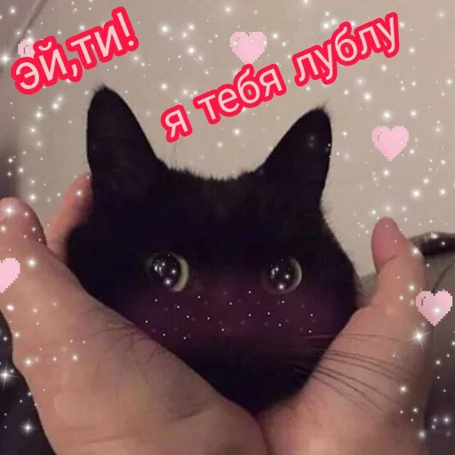 😘 Стикер «Няшные Пикчи» для Telegram