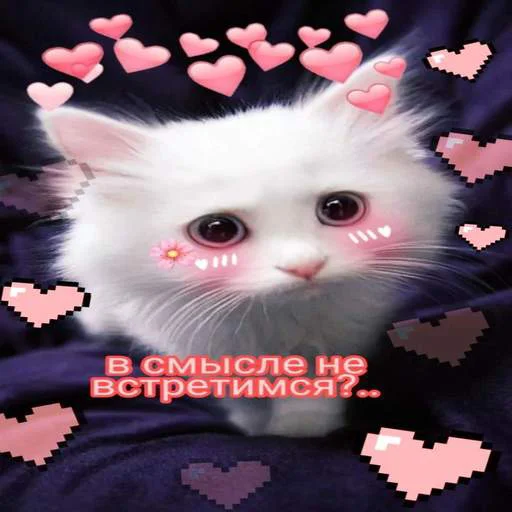 🥺 Стикер «Няшные Пикчи» для Telegram