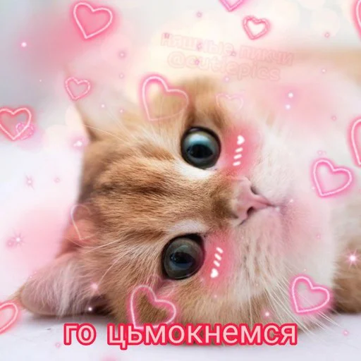 💋 Стикер «Няшные Пикчи» для Telegram