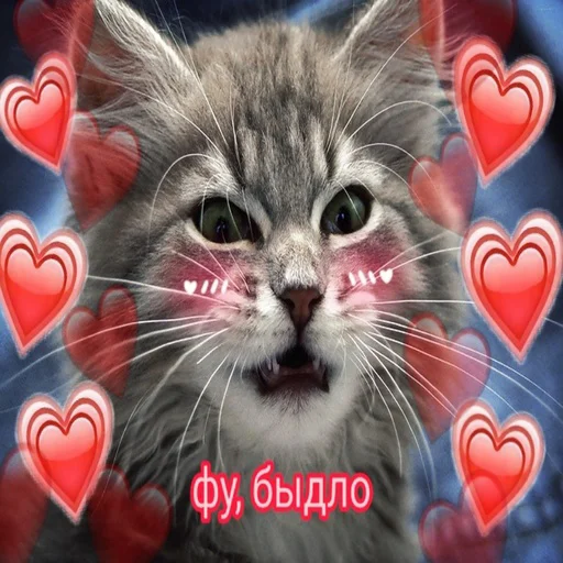 😡 Стикер «Няшные Пикчи» для Telegram