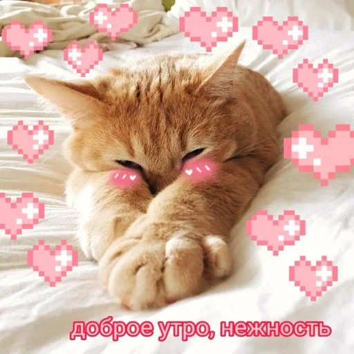 😊 Стикер «Няшные Пикчи» для Telegram