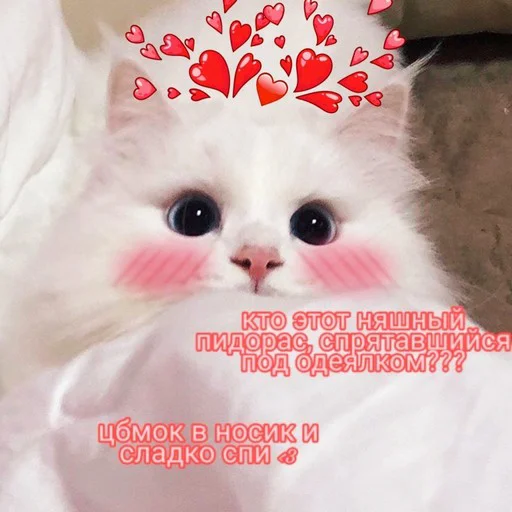 😴 Стикер «Няшные Пикчи» для Telegram
