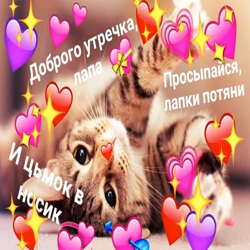 😚 Стикер «Няшные Пикчи» для Telegram