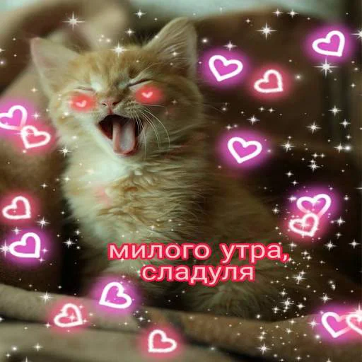 😌 Стикер «Няшные Пикчи» для Telegram