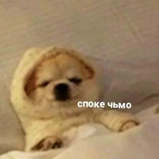 🌫 Стикер «клео сильная ??‍?» для Telegram