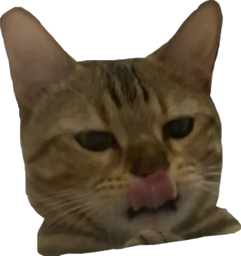 🥴 Стикер «шиз» для Telegram