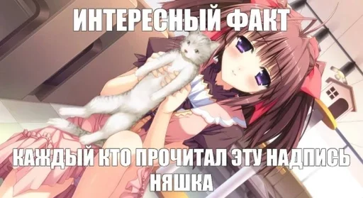 ❤️ Стикер «nyazhki» для Telegram