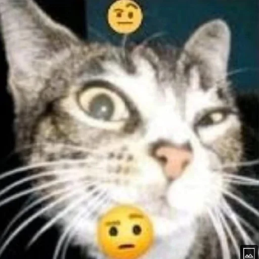 😄 Стикер «Клоуны» для Telegram