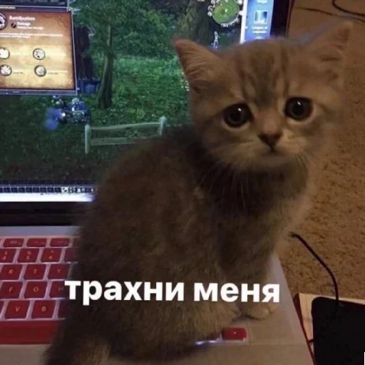 😄 Стикер «Клоуны» для Telegram