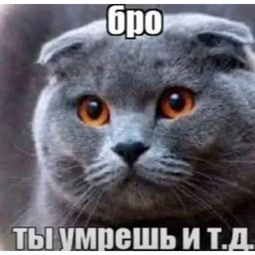 💀 Стикер «мур мур ня» для Telegram