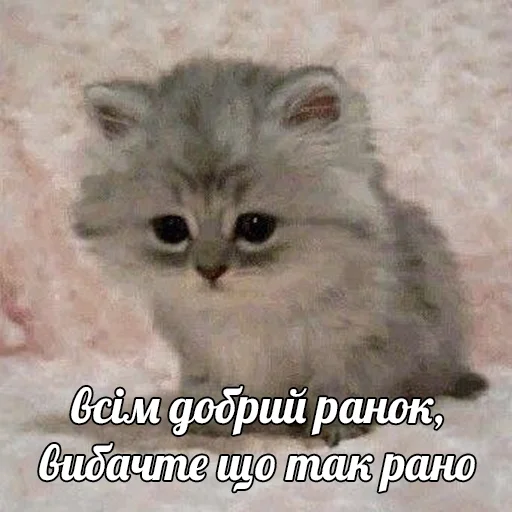 ☺️ Стикер «это не мемы это моя жизнь» для Telegram