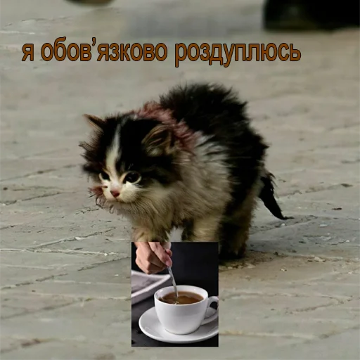 ☹️ Стикер «это не мемы это моя жизнь» для Telegram