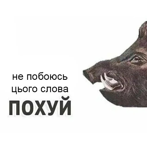 😑 Стикер «это не мемы это моя жизнь» для Telegram