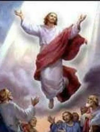 ✝ Стикер «Knight of Christ ( )» для Telegram