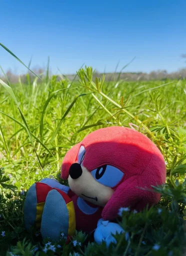 🤩 Стикер «KNUCKLES THE ECHIDNA» для Telegram