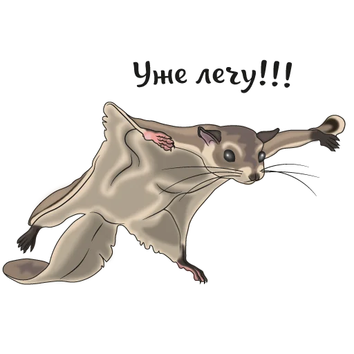 🏃 Стикер «Шуня» для Telegram