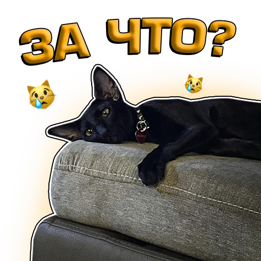 😿 Стикер «Кочевник» для Telegram