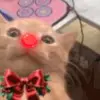 Стикер 59 christmas emojipack 2