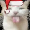 Стикер 14 christmas emojipack 2