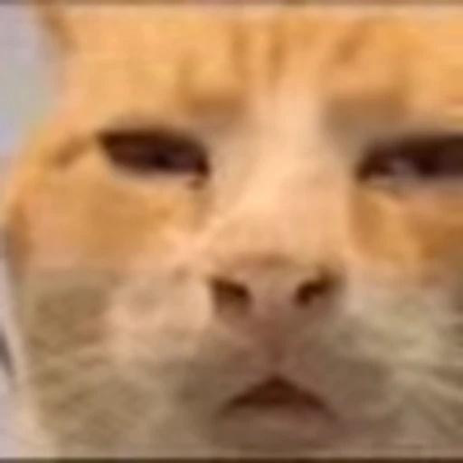 😑 Эмодзи «random emojipack» для Telegram