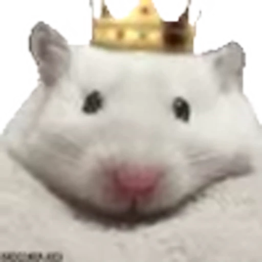 👑 Эмодзи «random emojipack» для Telegram