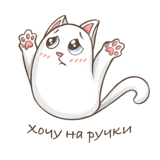 🐱 Стикер «koftyonyshi» для Telegram