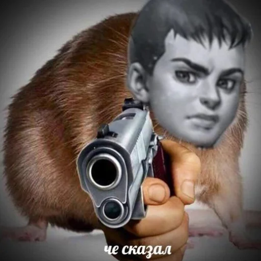 😠 Стикер «Tiny Bunny MEMES» для Telegram