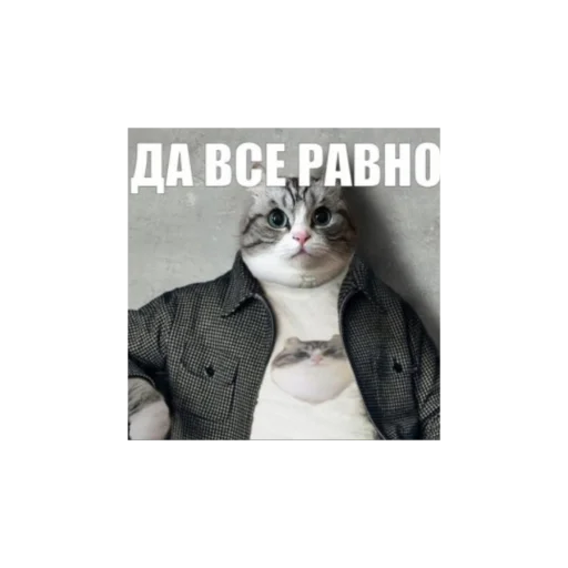 🔳 Стикер «Комару» для Telegram