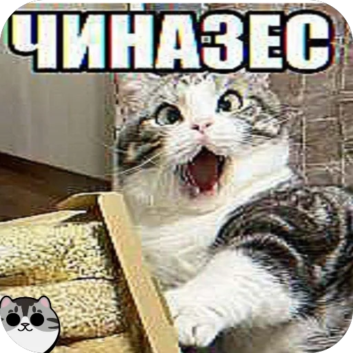 🫥 Стикер «Комару» для Telegram