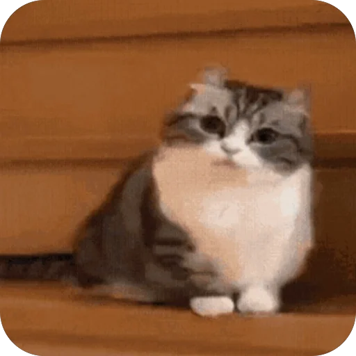 🫥 Стикер «Комару» для Telegram