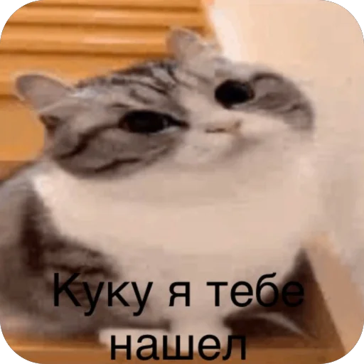 🫥 Стикер «Комару» для Telegram