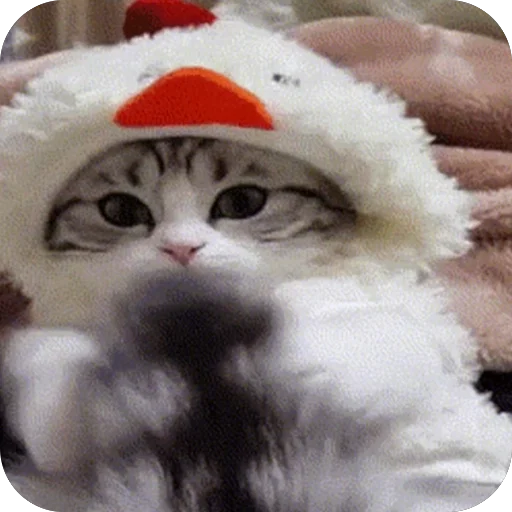 🫥 Стикер «Комару» для Telegram
