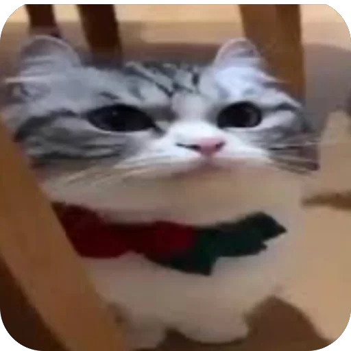 🫥 Стикер «Комару» для Telegram