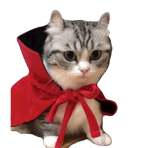 🫥 Стикер «Комару» для Telegram