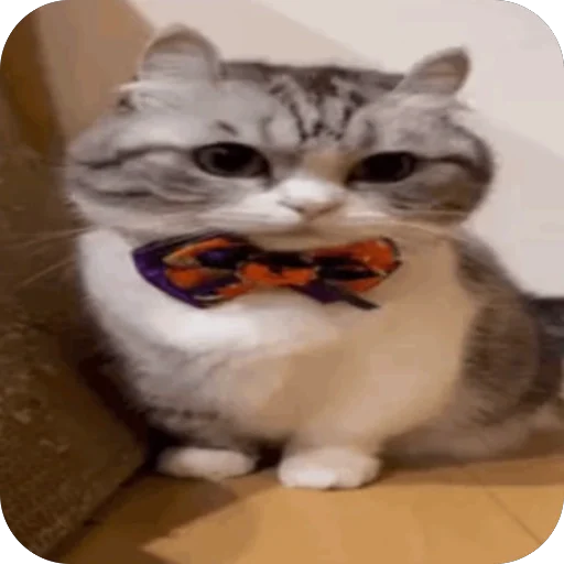 🫥 Стикер «Комару» для Telegram