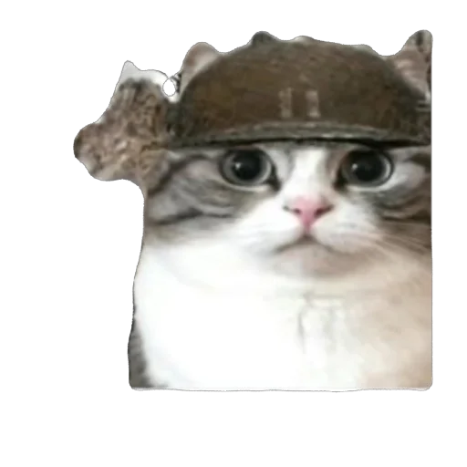🫥 Стикер «Комару» для Telegram