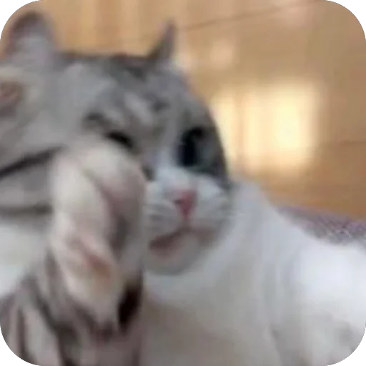 🫥 Стикер «Комару» для Telegram