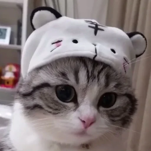 😽 Стикер «Будни Комару» для Telegram