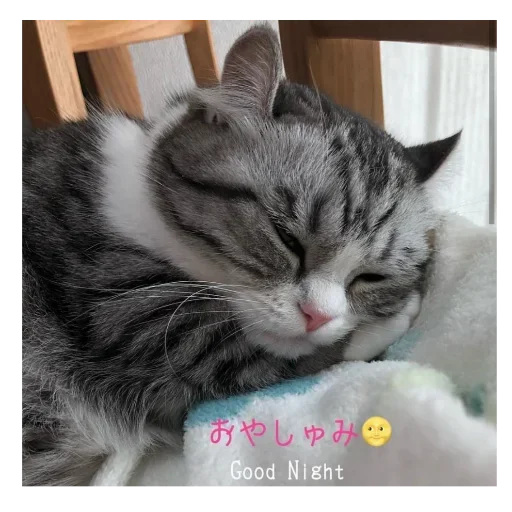 💤 Стикер «Будни Комару» для Telegram