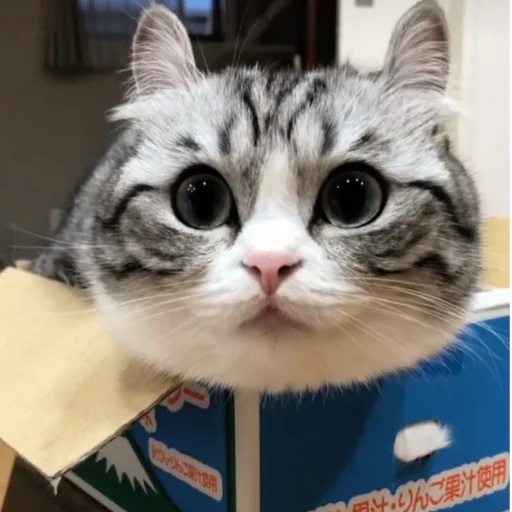 😉 Стикер «Будни Комару» для Telegram