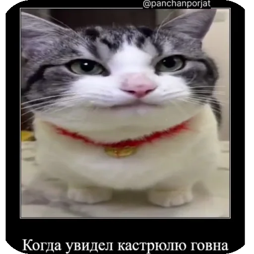 😋 Стикер «Комару рофлс» для Telegram