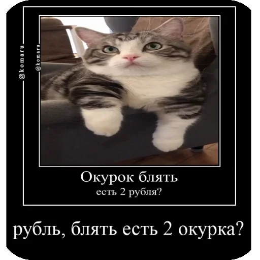 🖼 Стикер «Комару рофлс» для Telegram