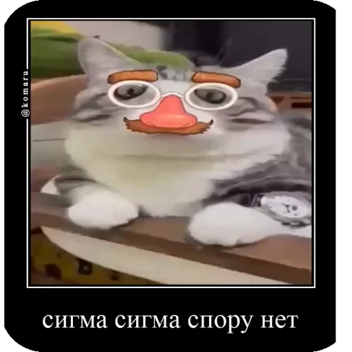 😎 Стикер «Комару рофлс» для Telegram