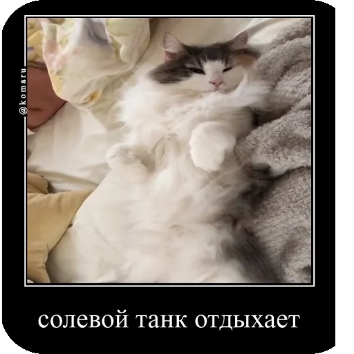 🥱 Стикер «Комару рофлс» для Telegram