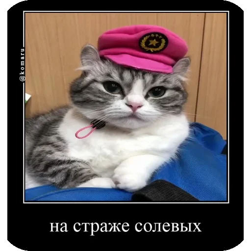 👮‍♂ Стикер «Комару рофлс» для Telegram