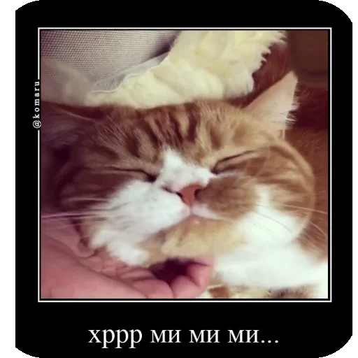 😪 Стикер «Комару рофлс» для Telegram
