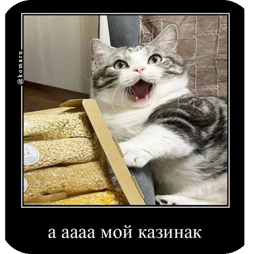 😋 Стикер «Комару рофлс» для Telegram
