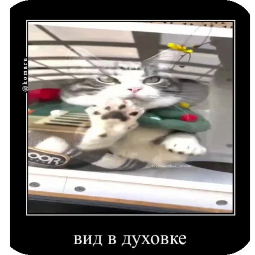 👍 Стикер «Комару рофлс» для Telegram
