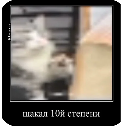 🌌 Стикер «Комару рофлс» для Telegram
