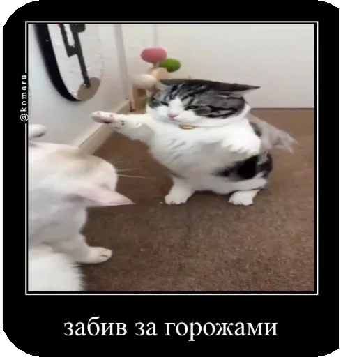 🌟 Стикер «Комару рофлс» для Telegram